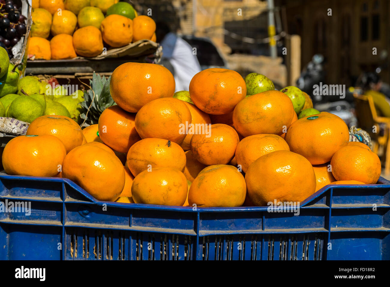 Comune di volare su arance Foto Stock
