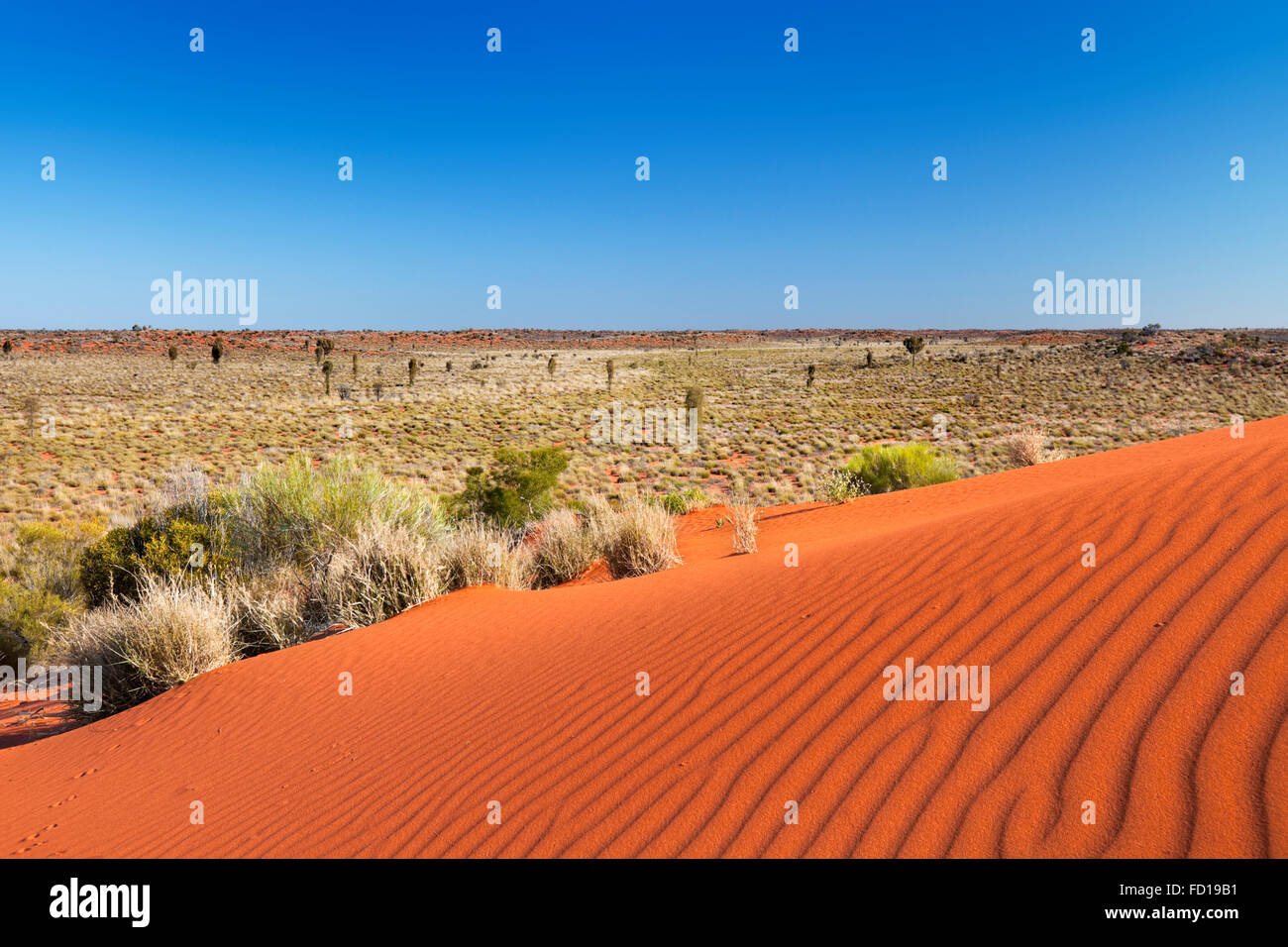 Ripples in un rosso duna di sabbia in un giorno chiaro. Fotografato nel Territorio del Nord in Australia. Foto Stock