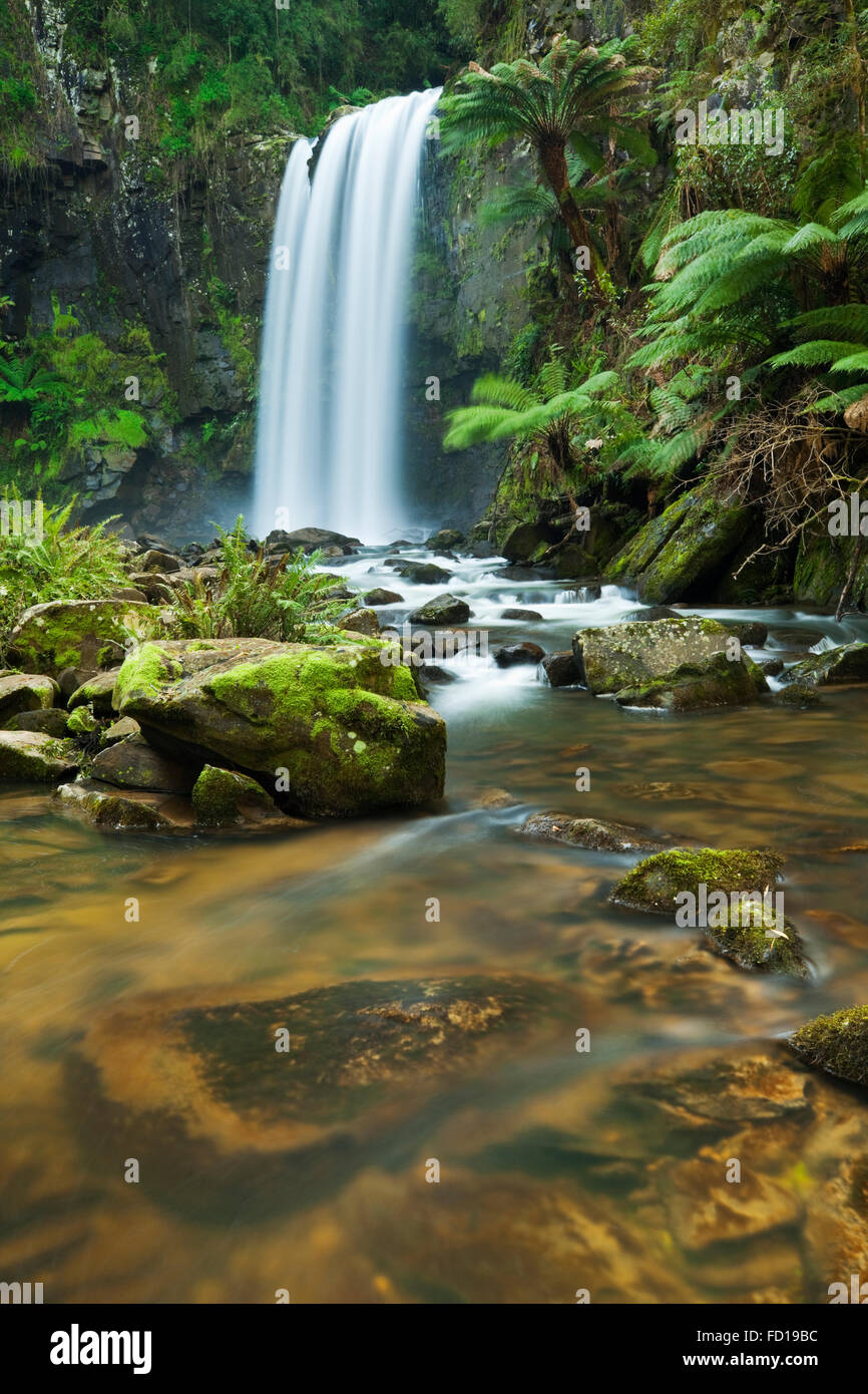 Cascata in una lussureggiante foresta pluviale. Fotografato alla Hopetoun rientra nella Grande Otway National Park in Victoria, Australia. Foto Stock