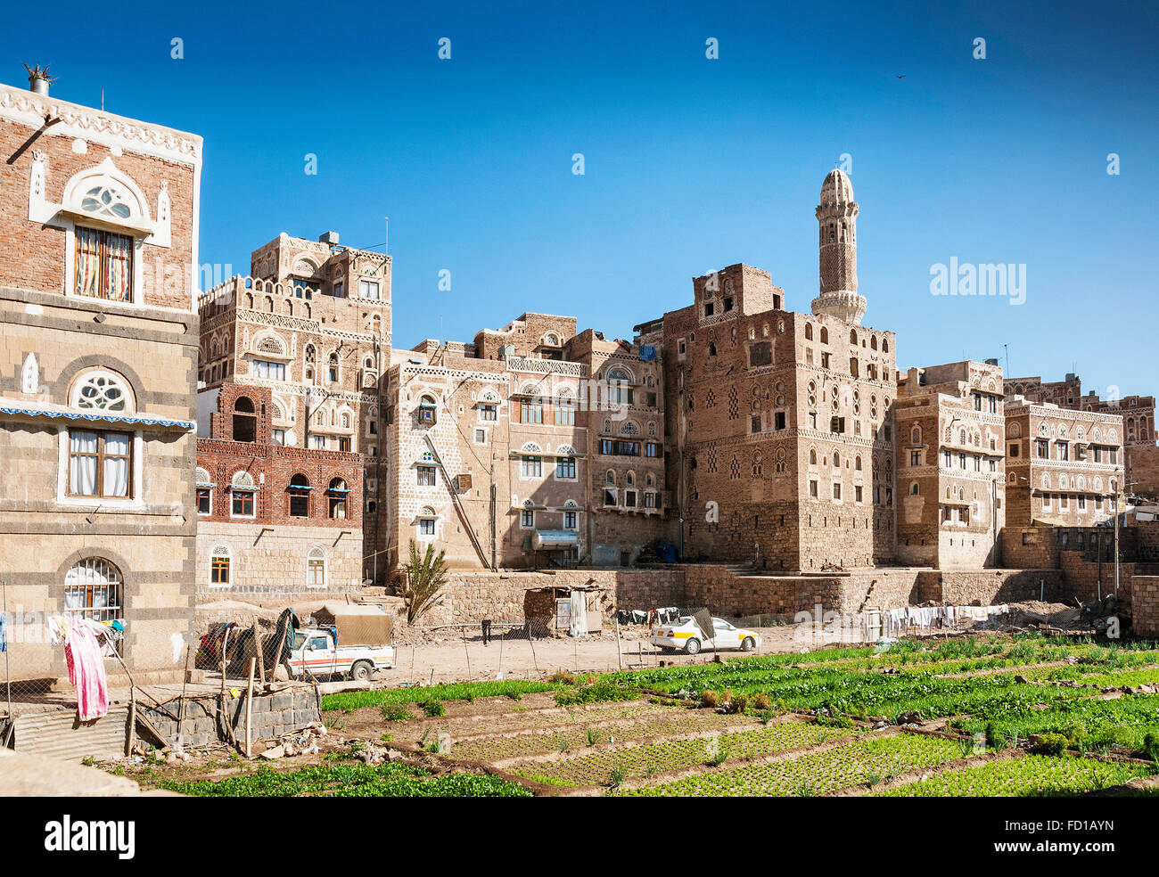 Urban orto in sanaa città vecchia yemen Foto Stock