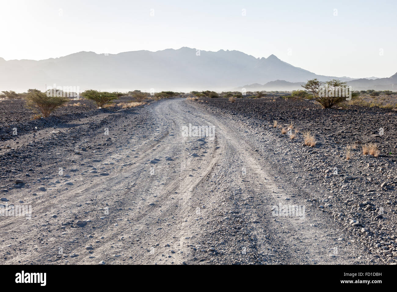 Strade del deserto in Oman Foto Stock
