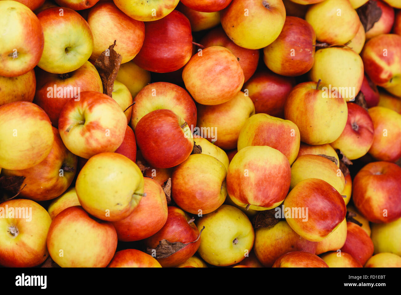 Pink Lady mele per la vendita, mercati di Salamanca, Salamanca Place, Hobart, Tasmania, Australia Foto Stock
