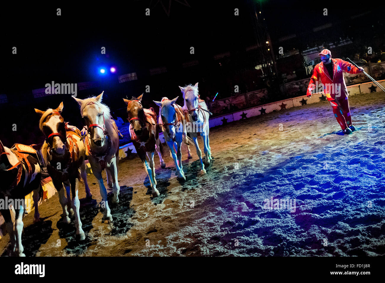 Un cavallo trainer esegue il suo agire nel Circus Renato, in San Salvador El Salvador. Foto Stock
