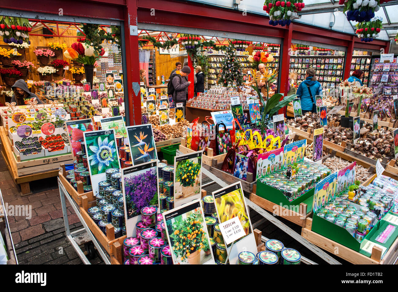 Bloemenmarkt (Mercato galleggiante) di Amsterdam non solo vende diverse varietà di tulipani ma ci sono tutti i tipi di fiori Foto Stock