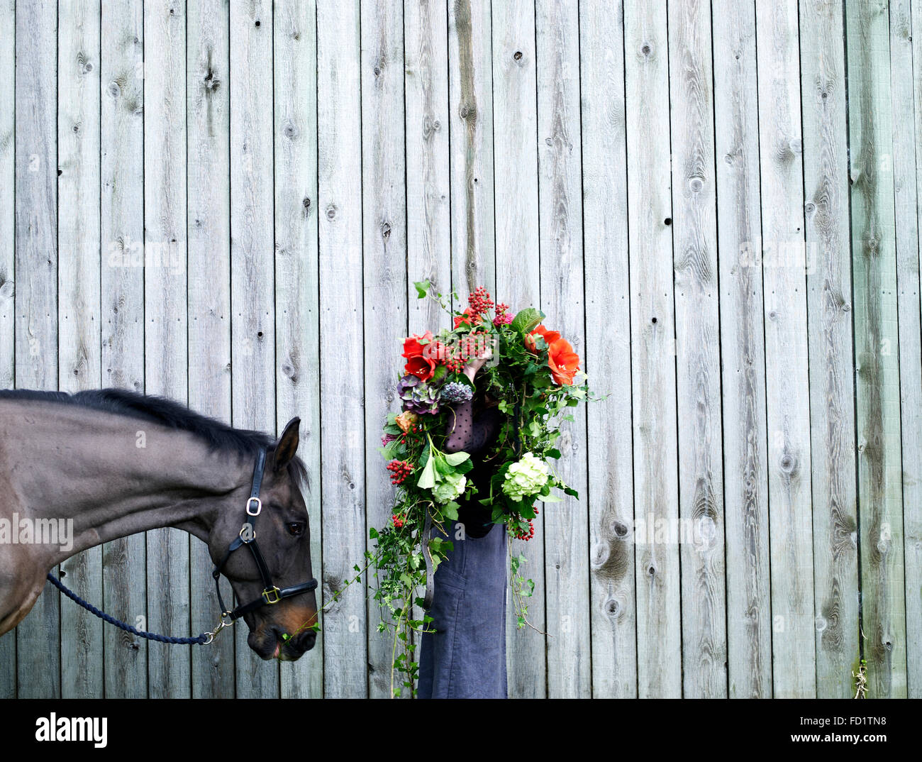 Cavallo con fiori Foto Stock