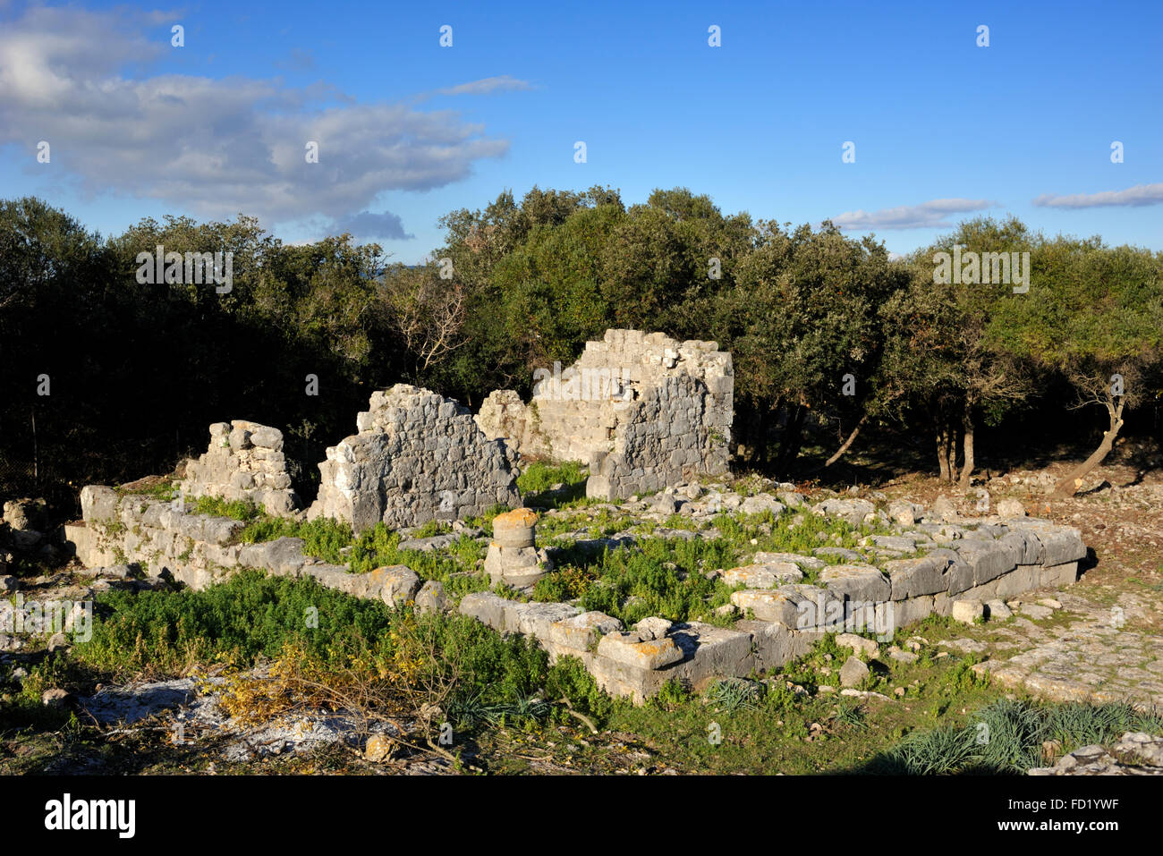 Italia, Toscana, Argentario, Orbetello, Ansedonia, rovine dell'antica città romana di cosa, tempio D. Foto Stock