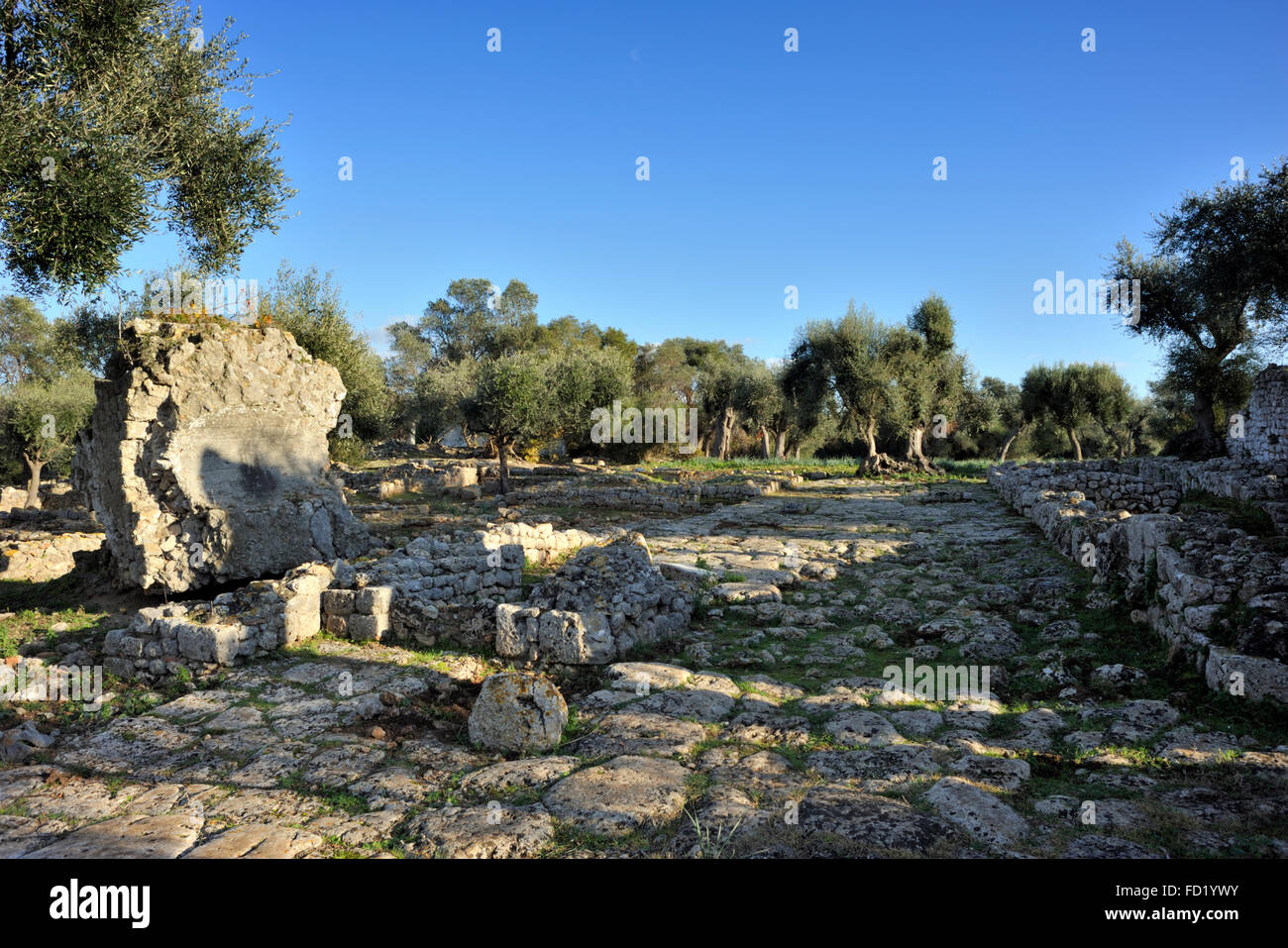 Italia, Toscana, Argentario, Orbetello, Ansedonia, rovine dell'antica città romana di cosa, foro Foto Stock