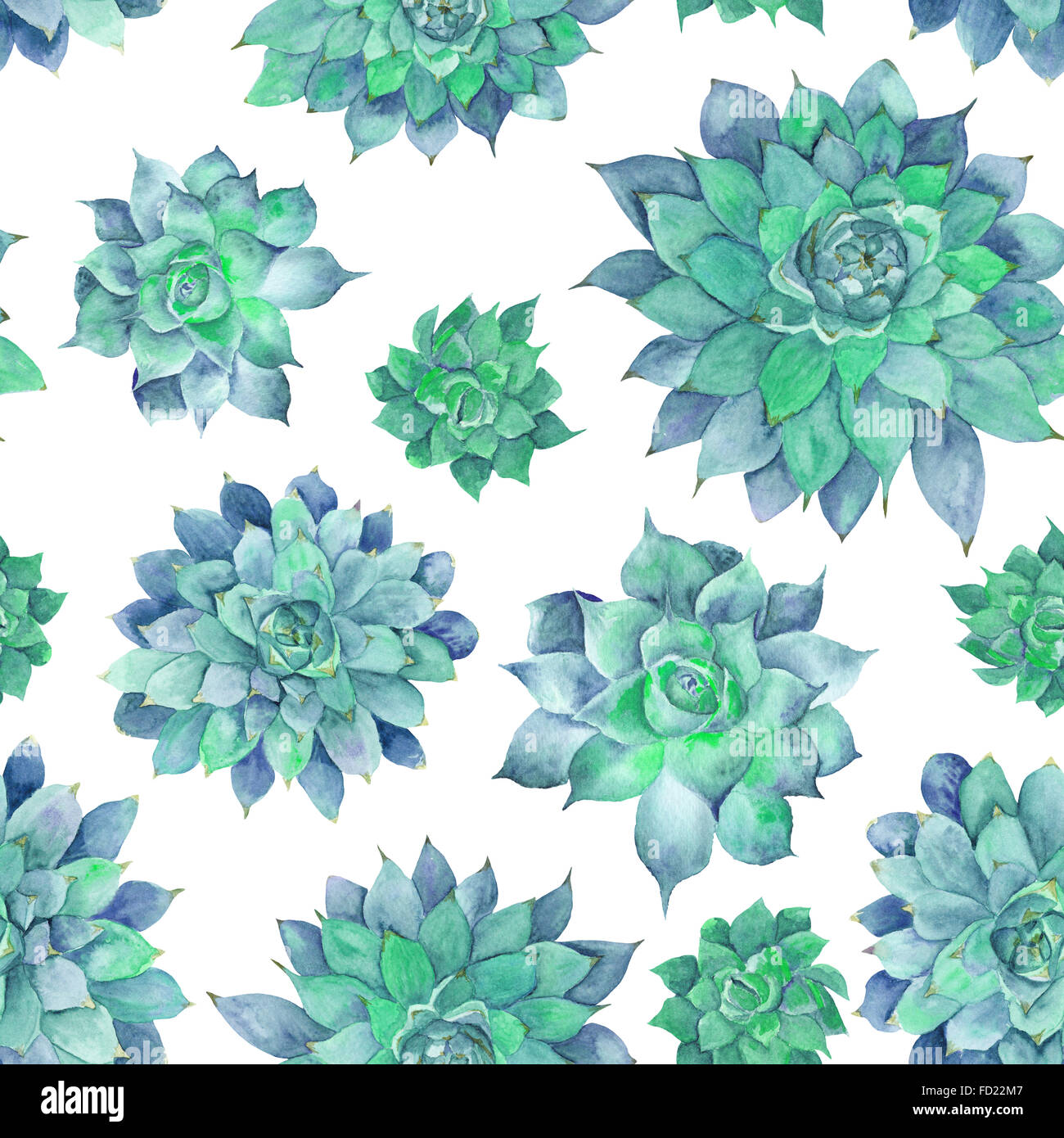 Dipinte a mano e senza soluzione di continuità con texture verde pianta tropicale isolata su sfondo bianco, Sempervivum illustrazione botanica Foto Stock