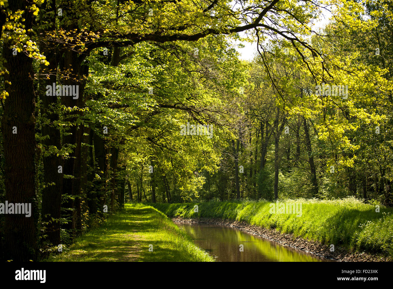 L'Europa, in Germania, in Renania settentrionale-Vestfalia, Regione del Basso Reno, il fiume Issel vicino a Wesel. Foto Stock