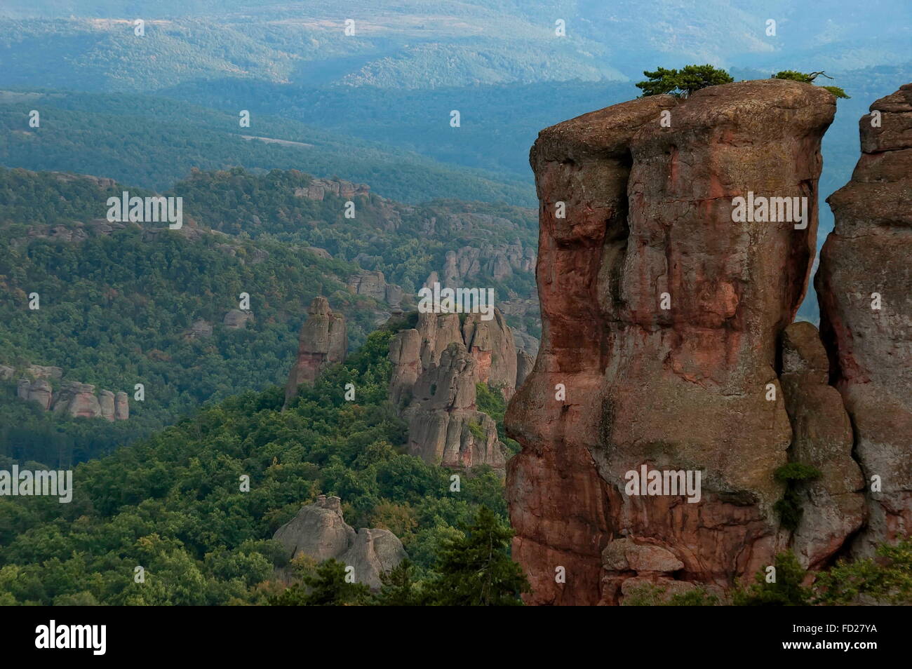 Belogradchik rock formazione nel pomeriggio laterale della luce solare, Bulgaria Foto Stock