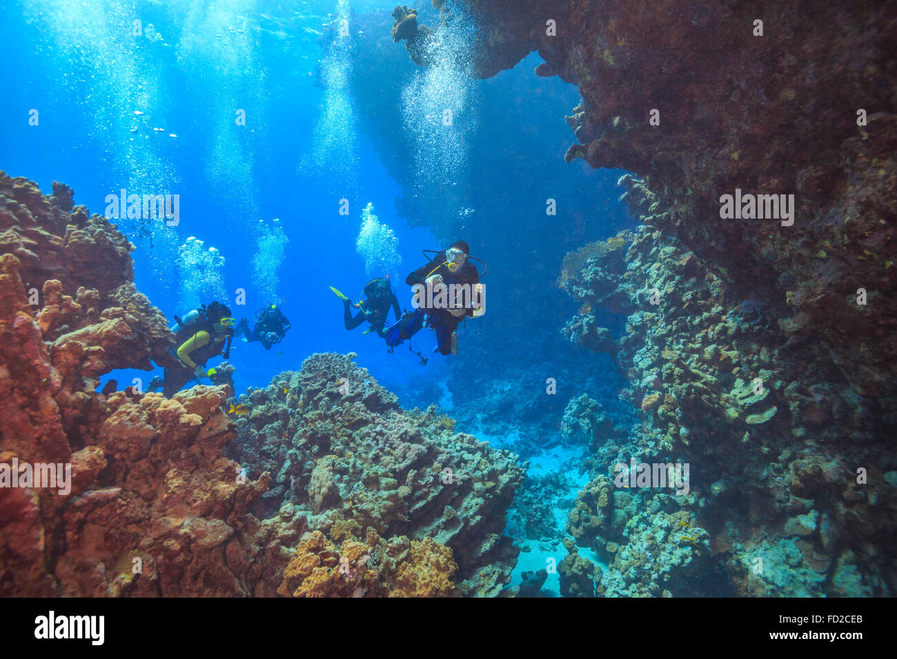 Attività, avventura acquatica, blu, barca, pulire, clima, Colonia, colore, colorata, coral,profonda, subacqueo, immersione subacquea, Foto Stock