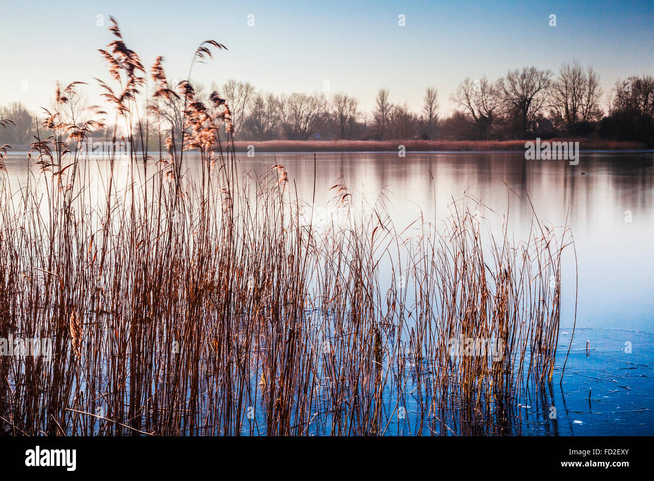Un inverno di sunrise su uno dei laghi a Cotswold Water Park Foto Stock