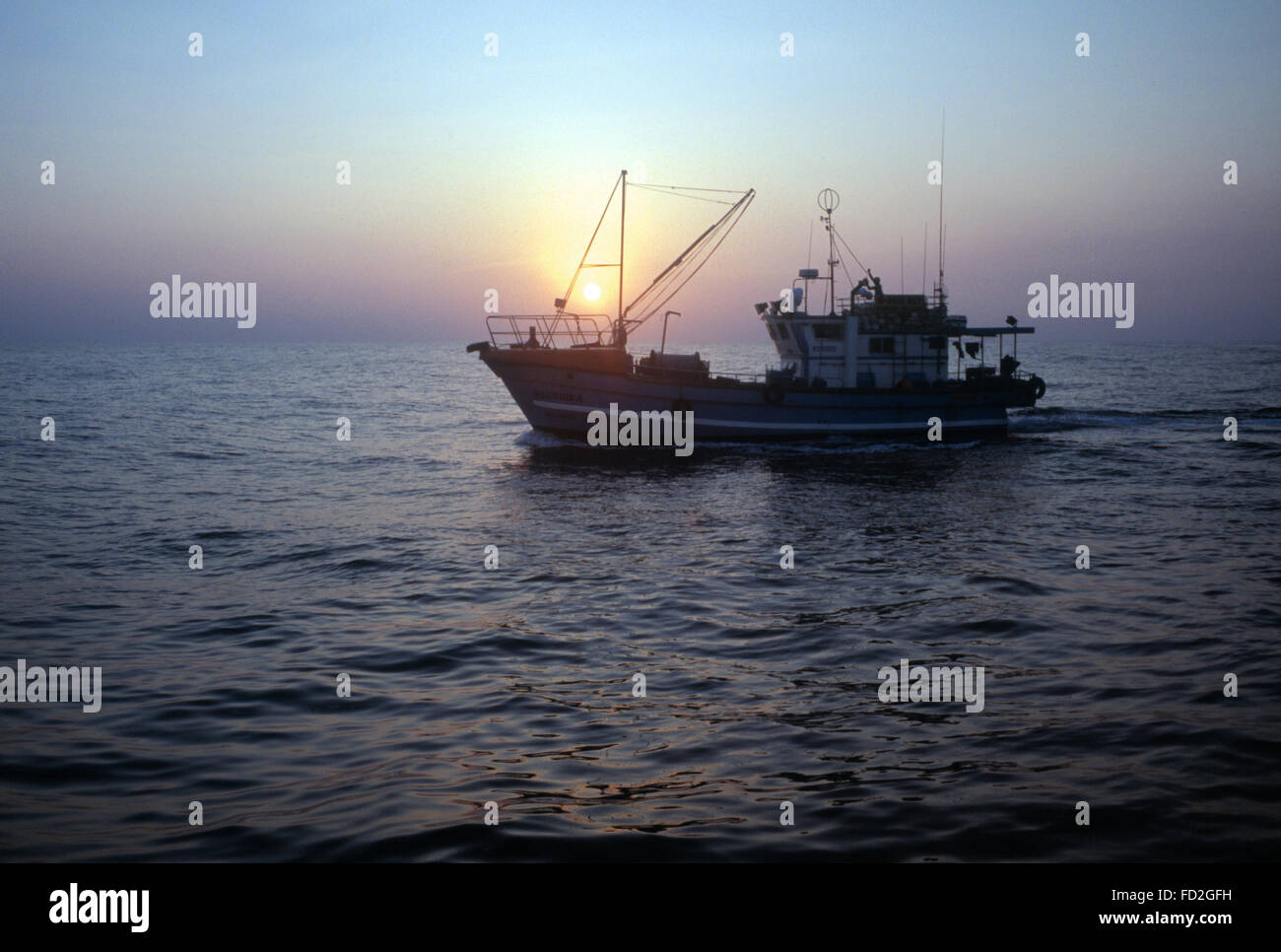 Pinna Gialla pescatore del tonno nell'Oceano Indiano al largo Beruwala Sri lanka. Torna al lavoro solo poche settimane dopo lo Tsunami . Foto Stock