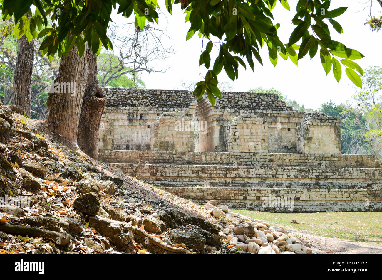 Alcune delle antiche strutture presso Copan sito archeologico in Honduras Foto Stock