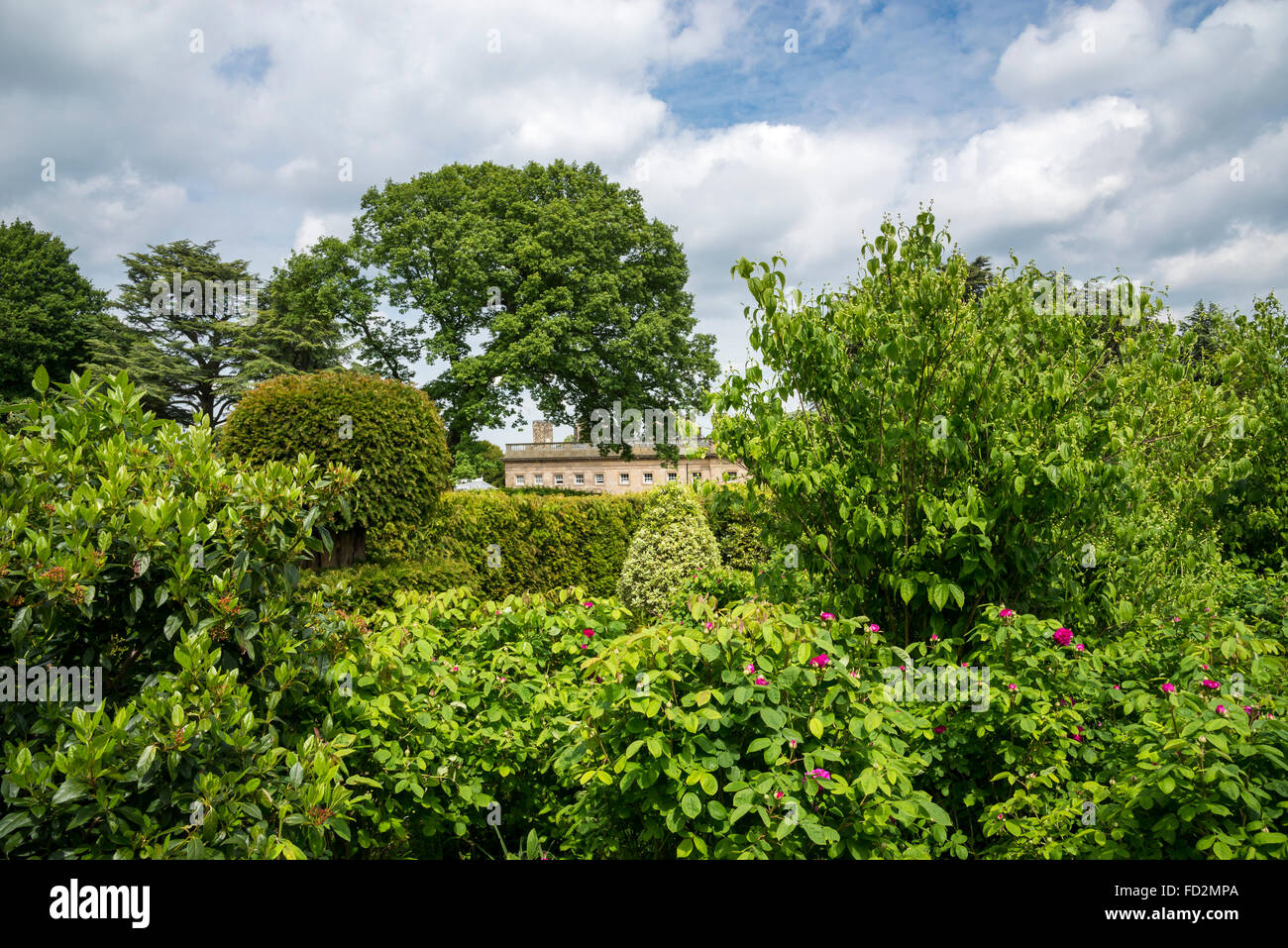 Castello di Wentworth House visto attraverso la rigogliosa vegetazione estiva nei giardini. Foto Stock