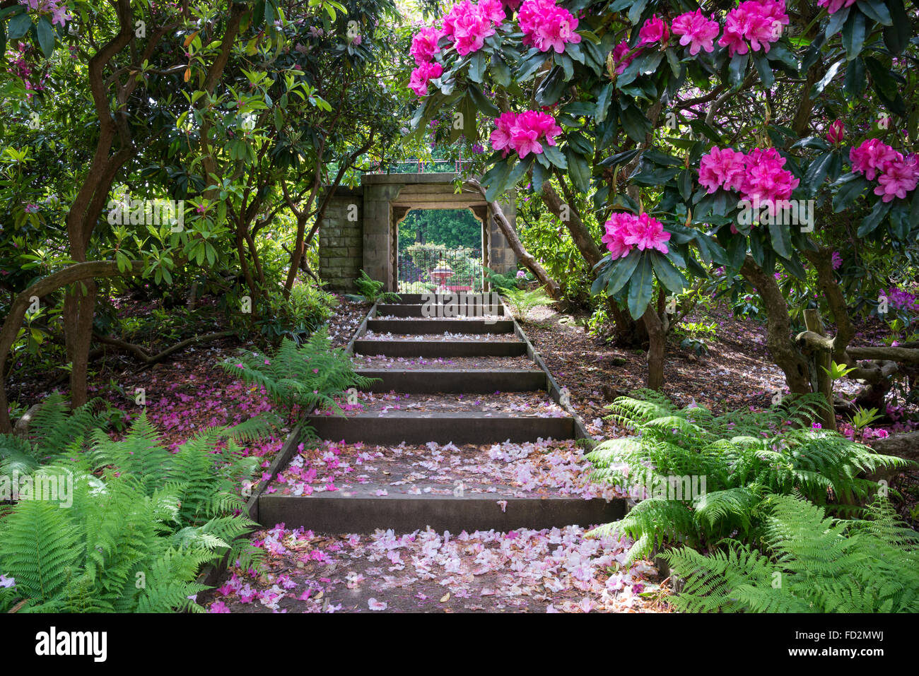 Le fasi che portano all'entrata per il Victorian flower garden di Wentworth Giardini di Castello, Yorkshire. Foto Stock