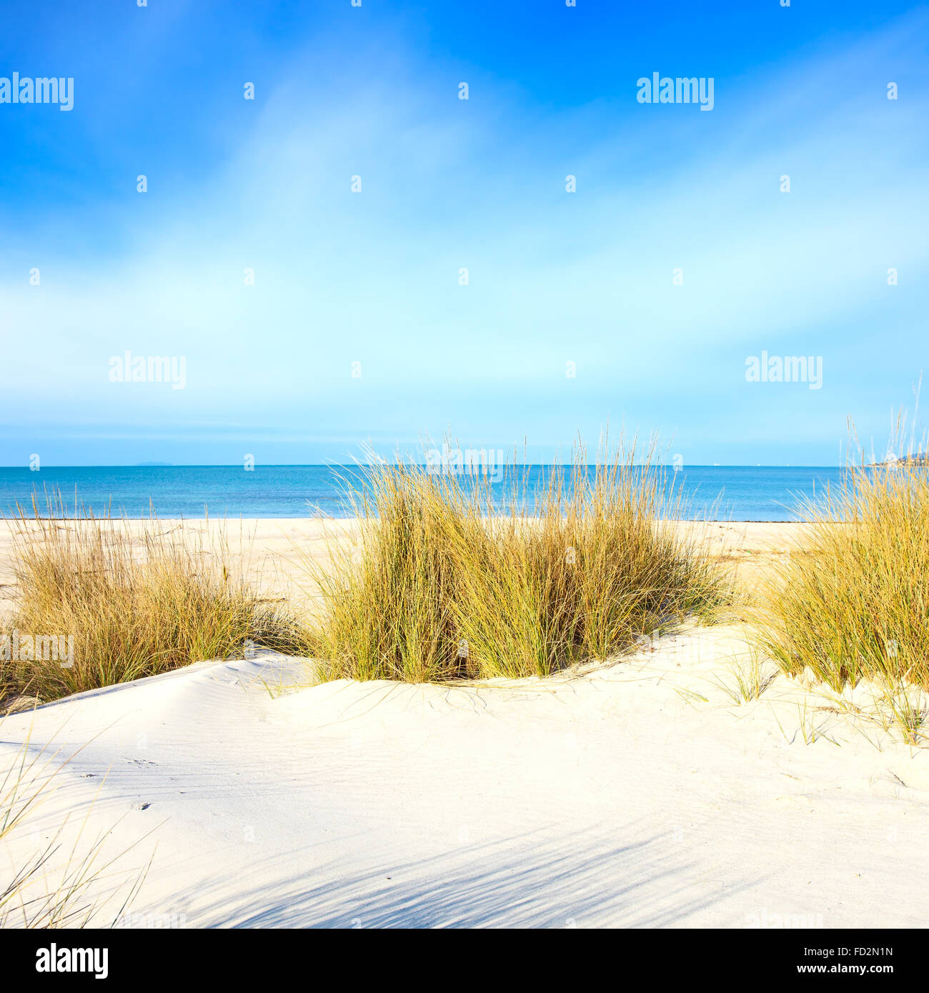 L'erba su un dune di sabbia bianca spiaggia, blu oceano e cielo sullo sfondo Foto Stock