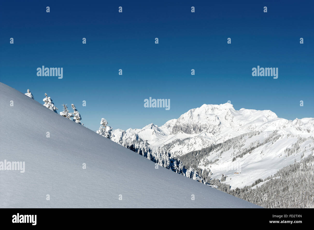 Una con rifiniture di sogno: la neve profonda di Châtel, una stazione sciistica di Portes du Soleil nelle Alpi francesi, Francia Foto Stock