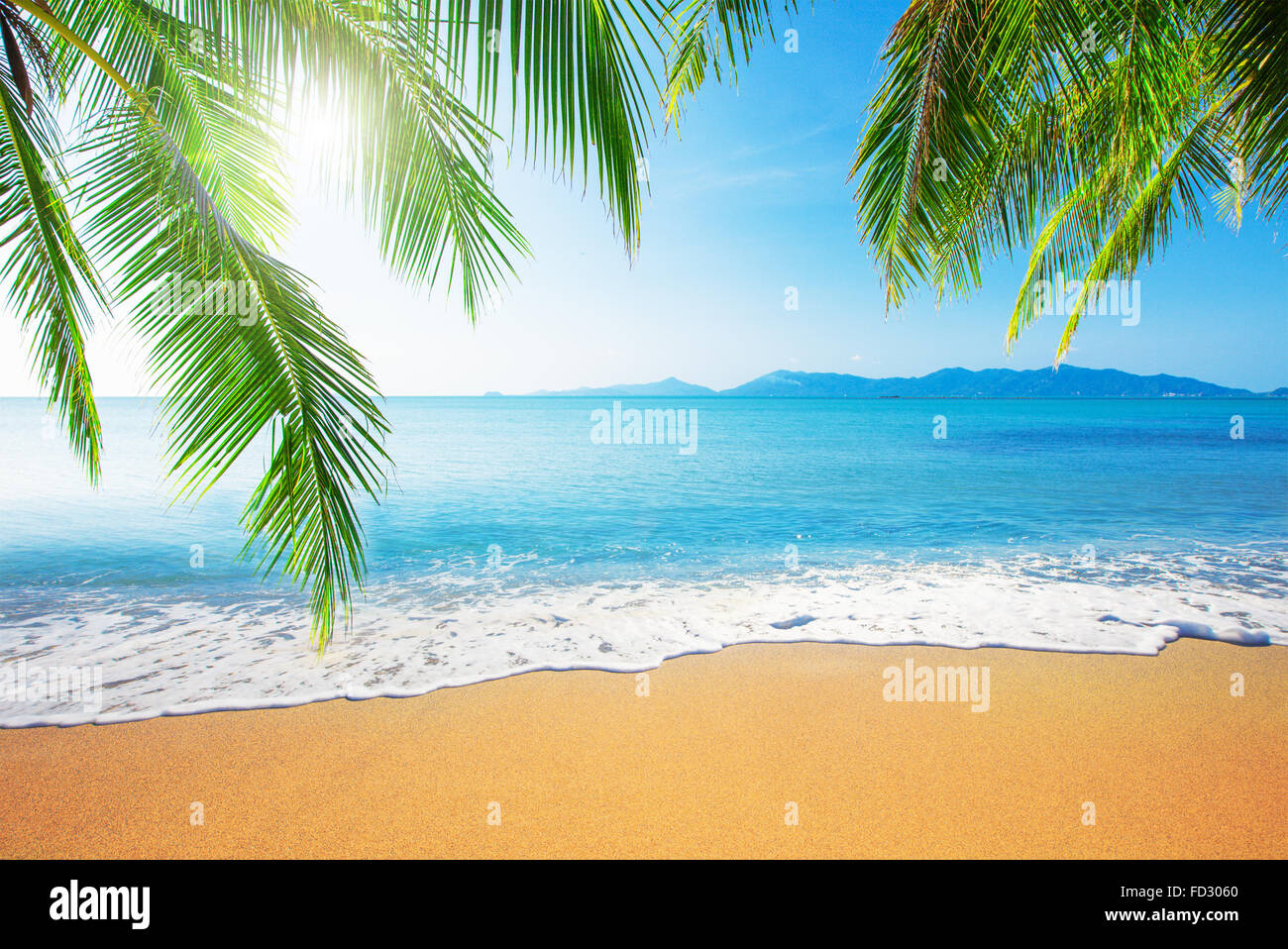 Palm e spiaggia tropicale Foto Stock