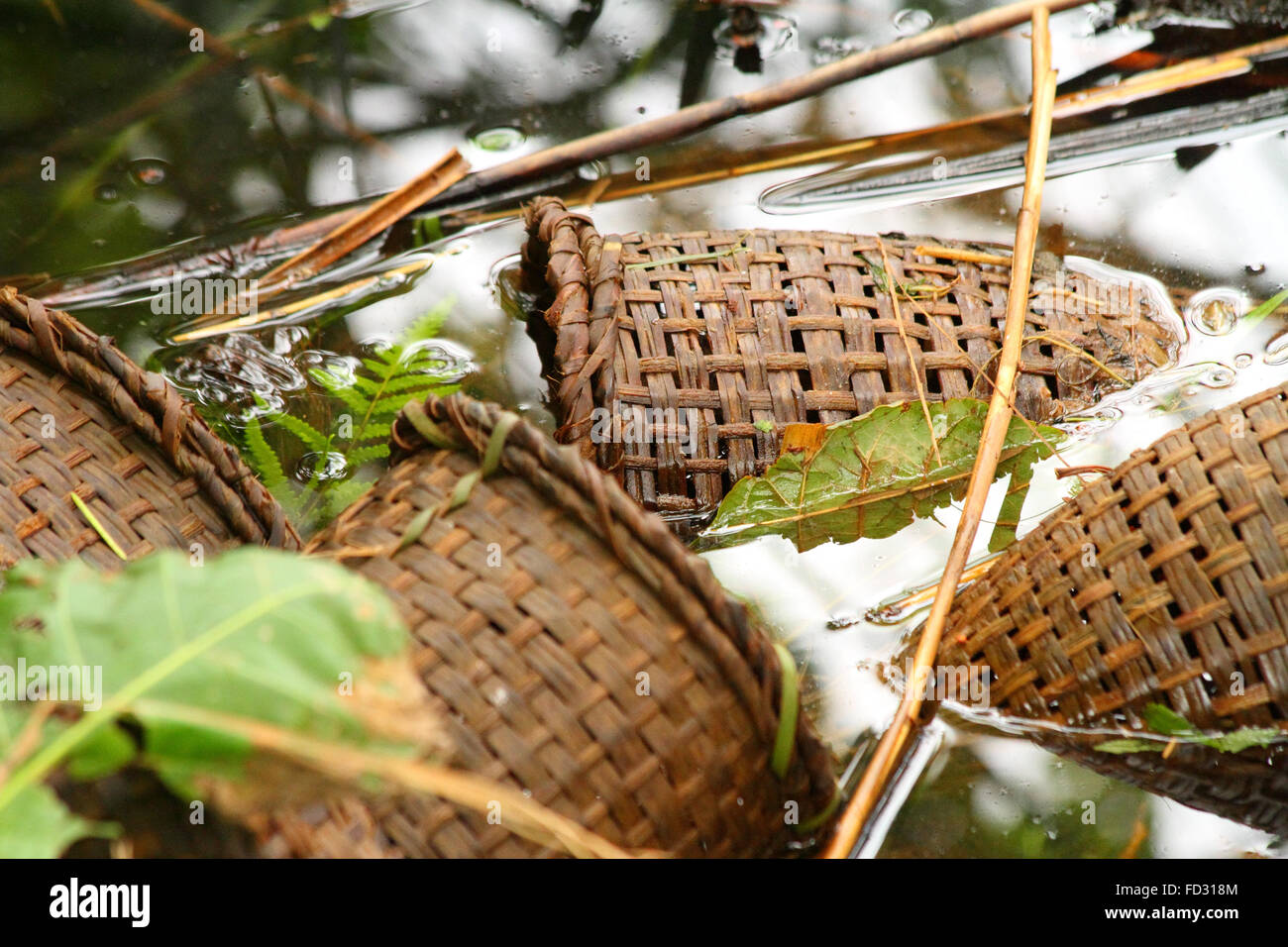 Fatto a mano il gambero di vimini set trap in un lago in attesa di prendere alcuni crostacei Foto Stock