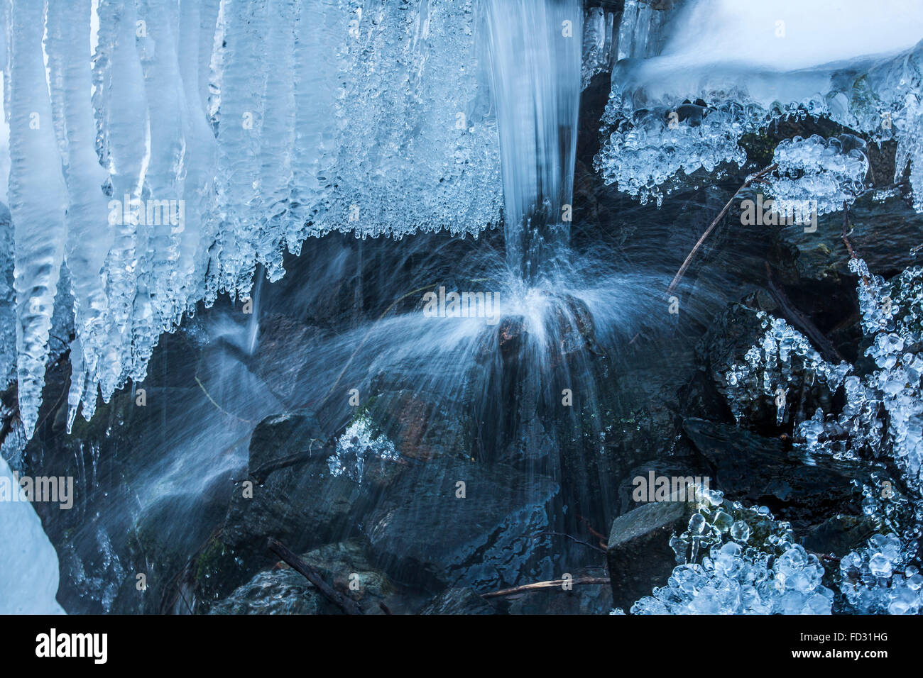 Congelati creek, acqua congelata, gocce di ghiaccio in un flusso, inverno, area di Sauerland, Germania Foto Stock