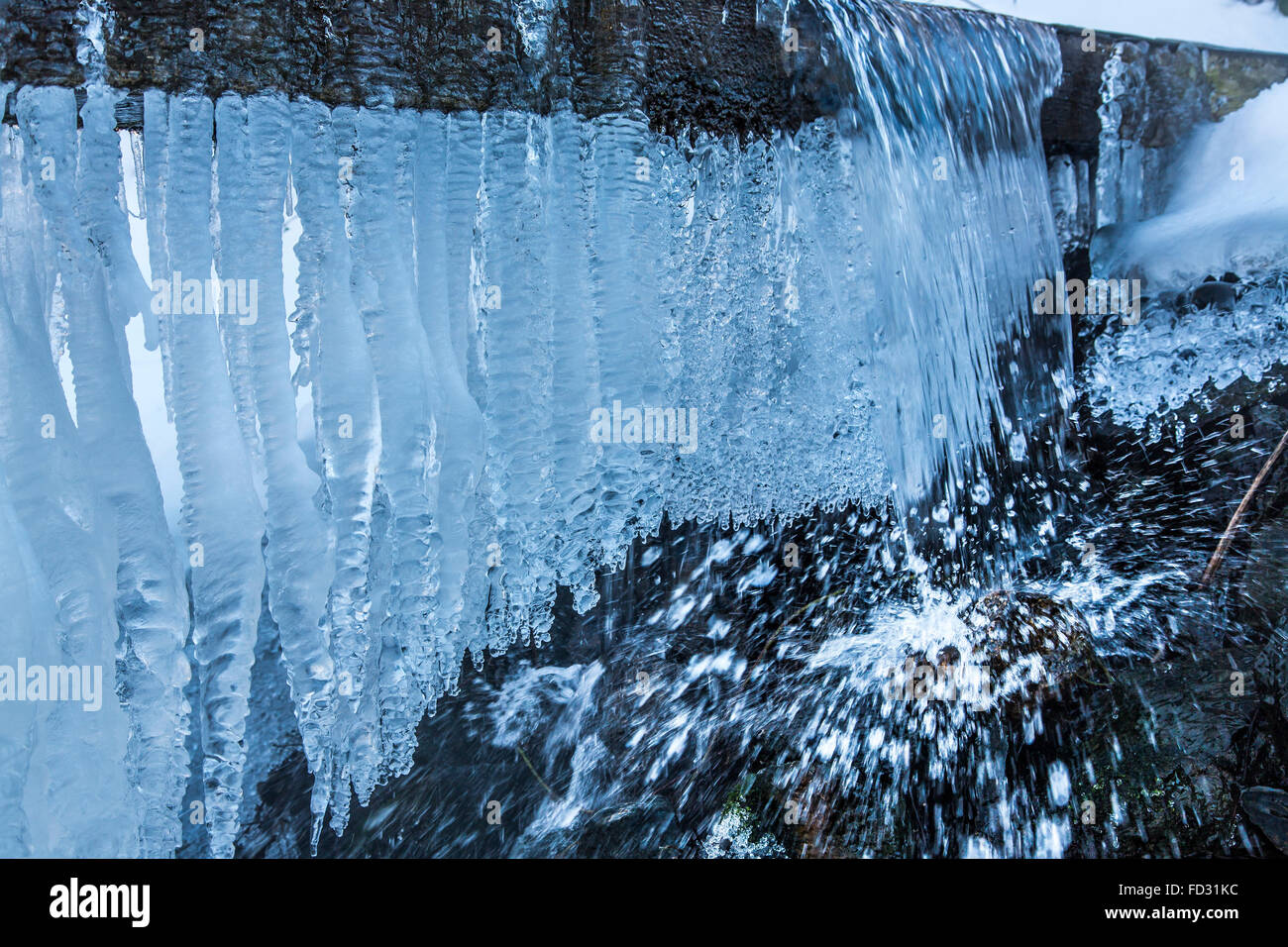 Congelati creek, acqua congelata, gocce di ghiaccio in un flusso, inverno, area di Sauerland, Germania Foto Stock