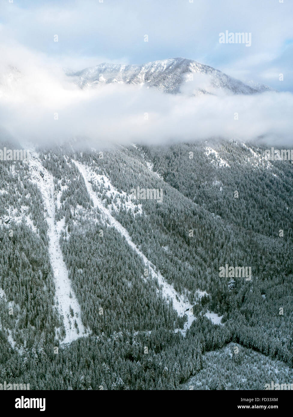 Antenna vista invernale di taglio chiaro logging; Selkirk montagne vicino a montaggio remoto Carlyle Lodge; British Columbia; Canada Foto Stock