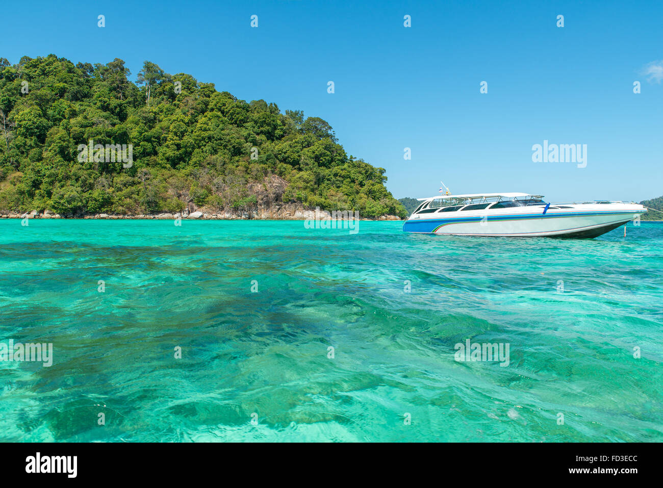 Estate, Viaggi, vacanze e concetto di vacanza - Motoscafo di coralli mare Isola di Phuket, Tailandia Foto Stock