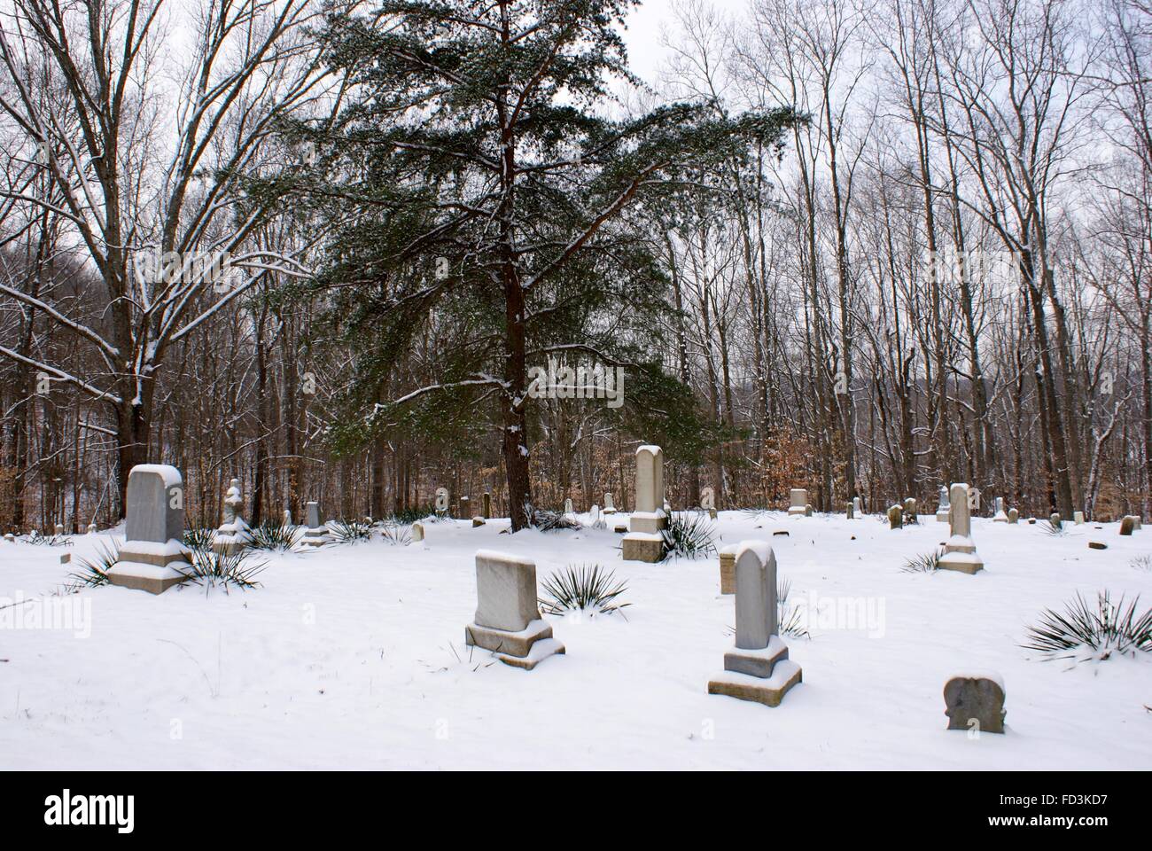 Un vecchio cantiere grave torna nel bosco. Tutte le pietre di testa coperta di neve. Foto Stock