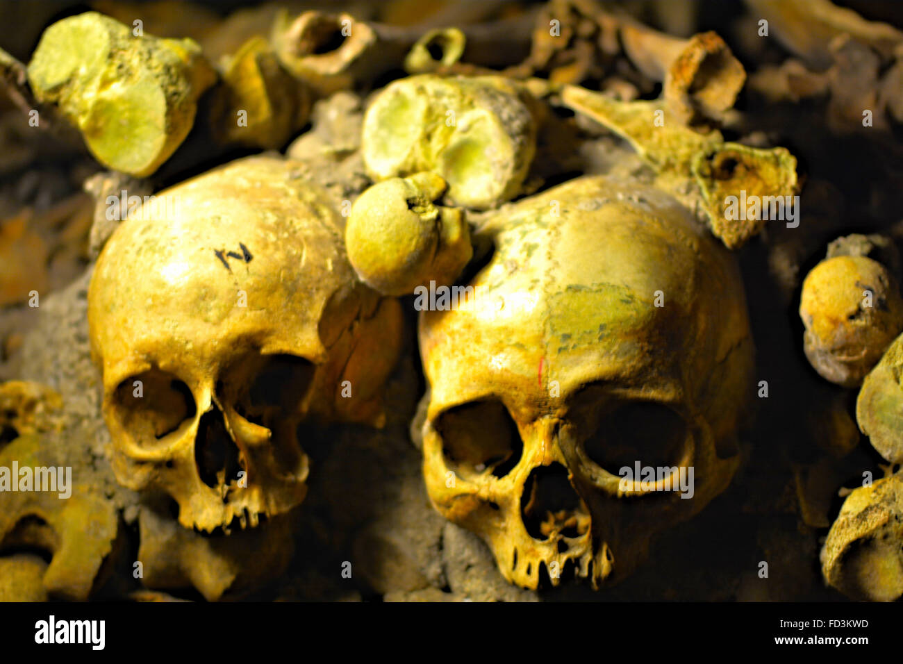 Teschi nelle catacombe di Parigi Foto Stock
