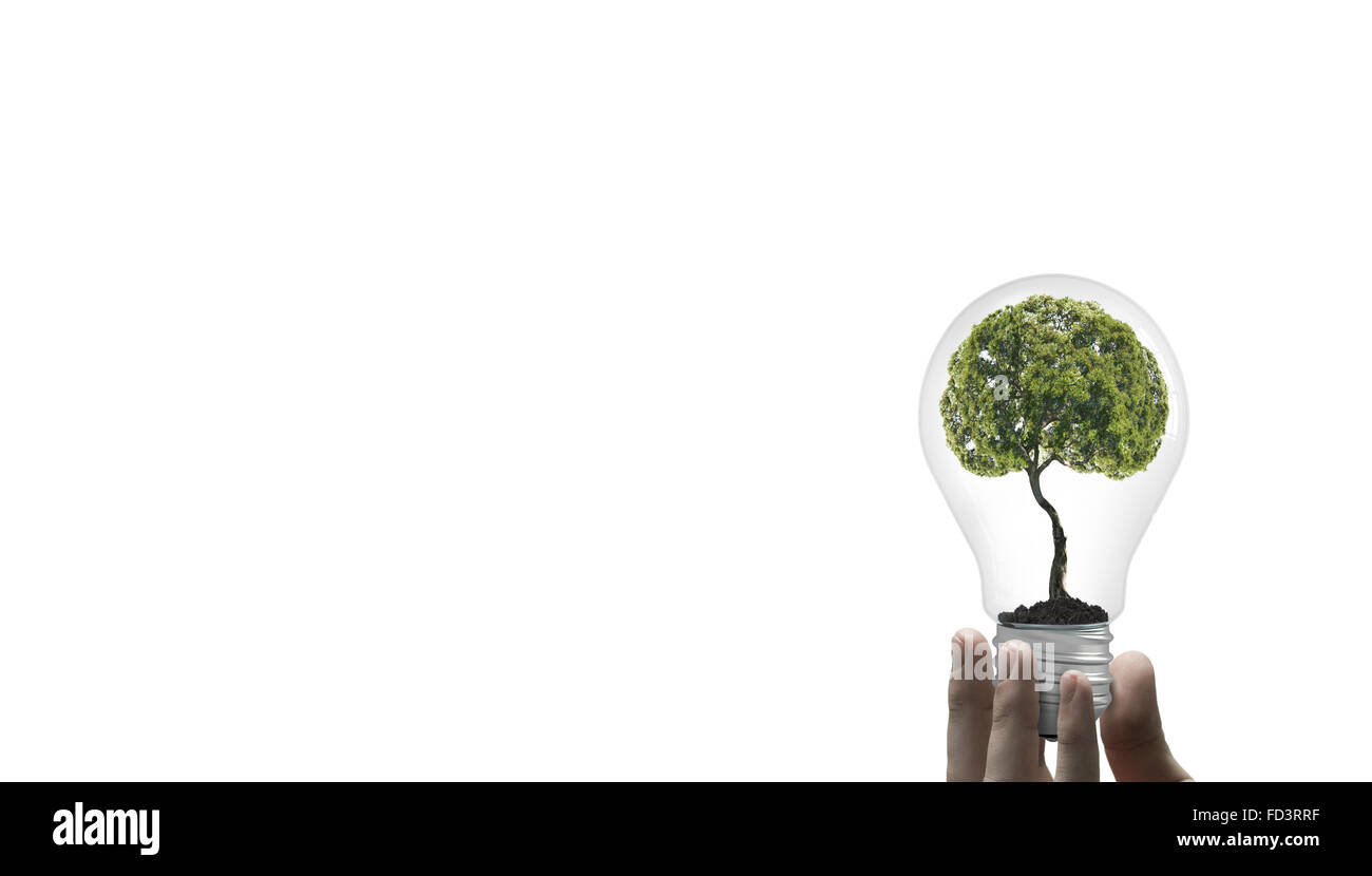 Stretta di mano umana tenendo lampadina con albero interno Foto Stock