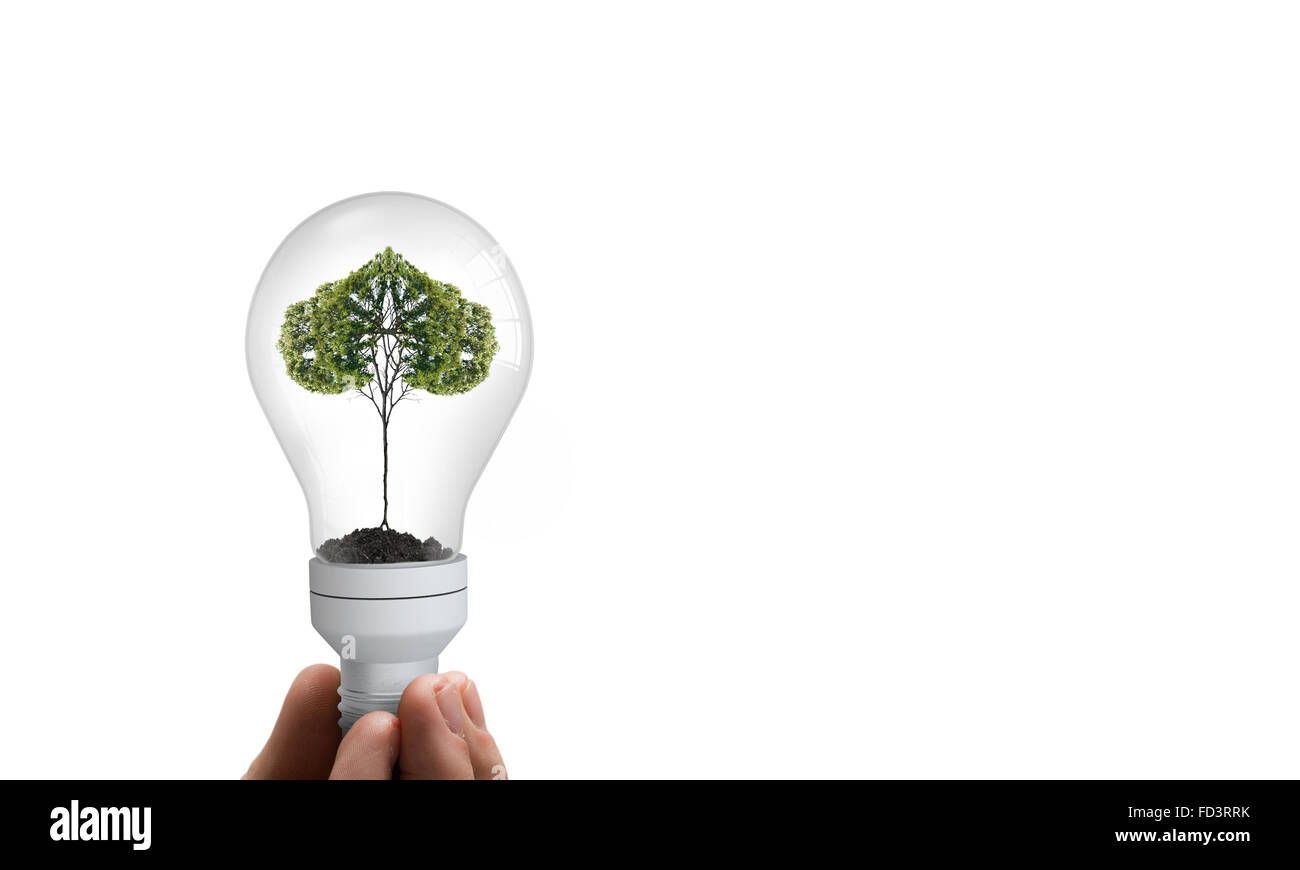Stretta di mano umana tenendo lampadina con albero interno Foto Stock