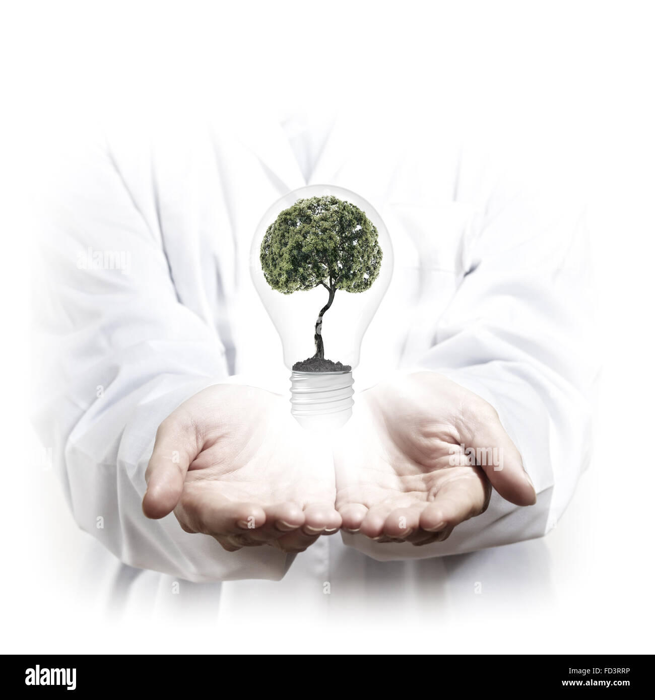 Stretta di mano umana tenendo lampadina con albero interno Foto Stock