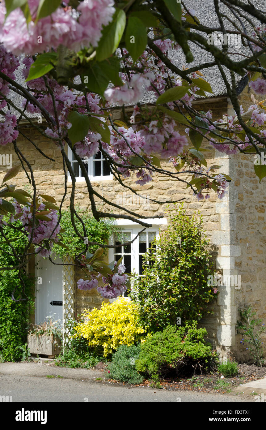 Cottage in pietra, Ashby St partitari, Northamptonshire, Inghilterra Foto Stock