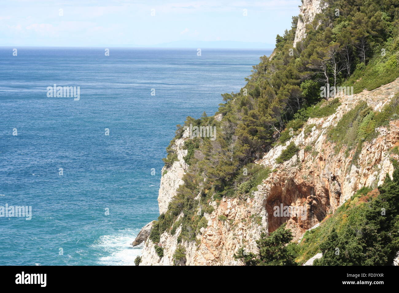 Cinque Terre tipico ripida scogliera di pini su rocce affacciato sul mare mediterraneo blu Foto Stock