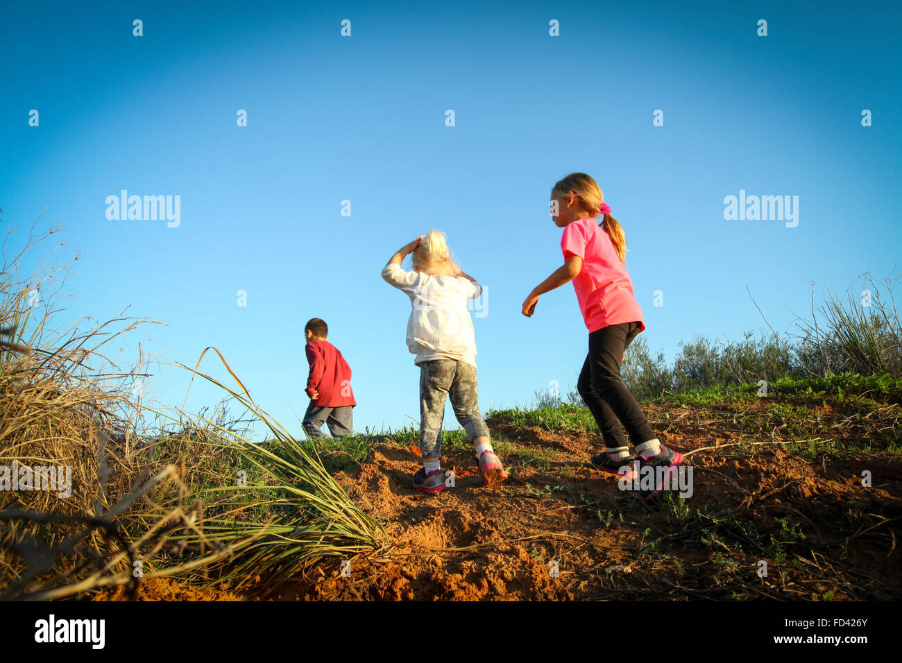 Attività all'aperto. Un gruppo di bambini di esplorare al di fuori Foto Stock