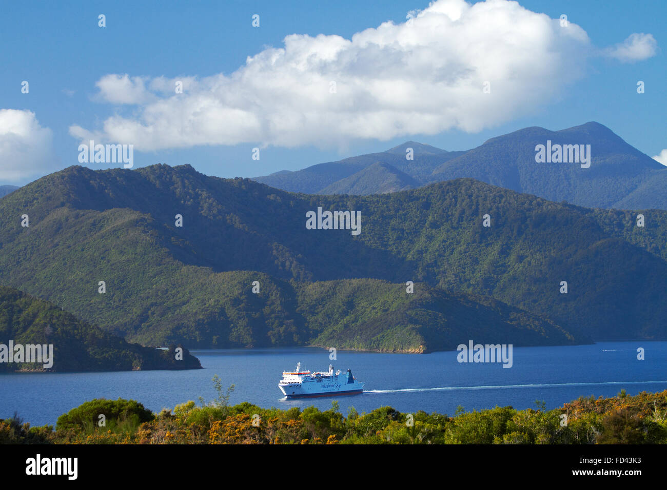 Lo stretto di Cook con il traghetto, Queen Charlotte Sound, Picton Marlborough Sounds, Isola del Sud, Nuova Zelanda Foto Stock