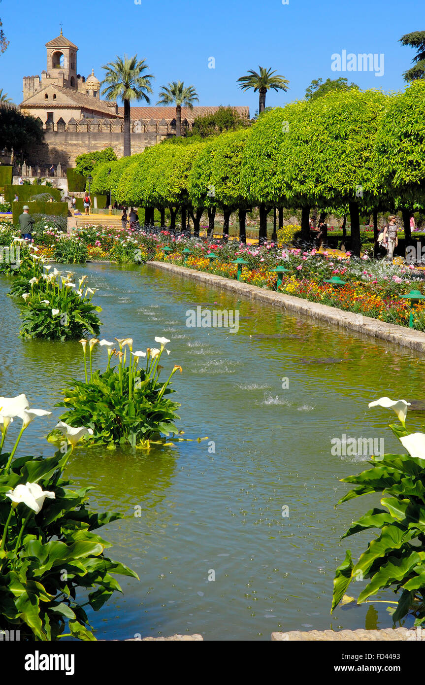 I giardini dell'Alcazar dei Re Cattolici, Cordoba. Andalusia, Spagna Foto Stock