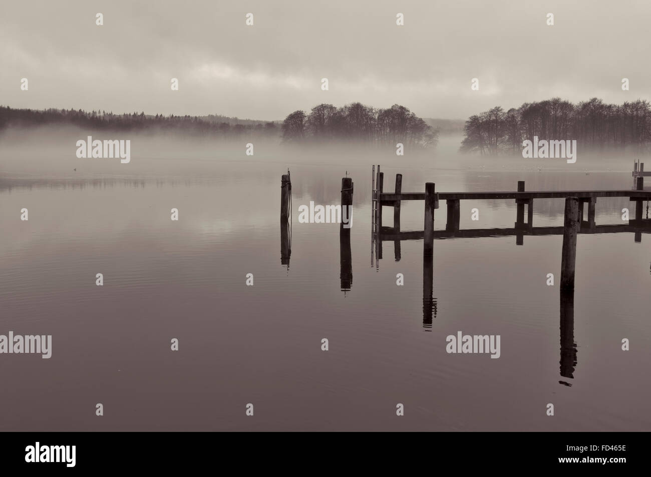 Bianco e nero colpo di foschia sopra un lago a Gammel Ry, Danimarca Foto Stock