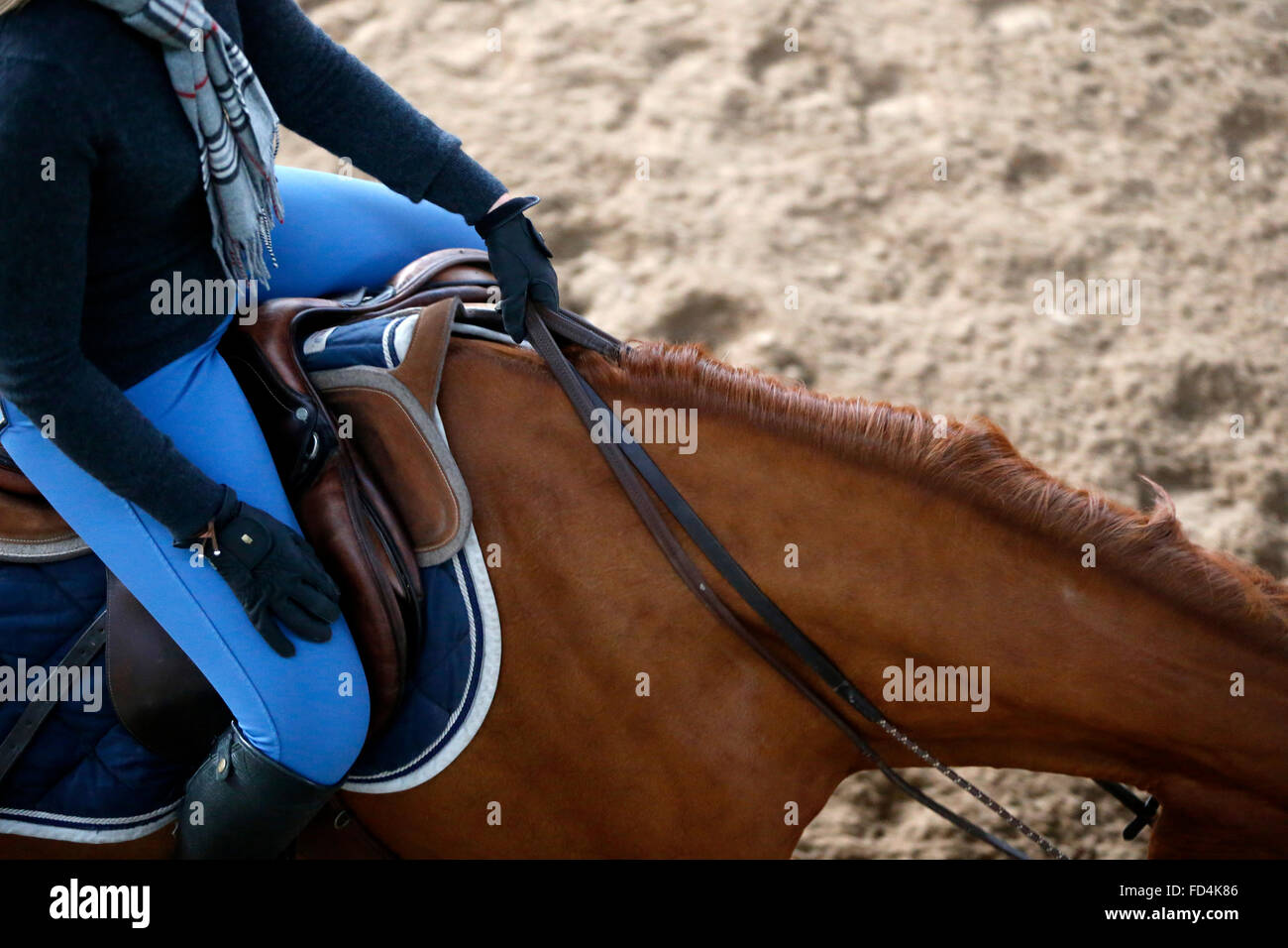 La donna in sella ad un cavallo. Foto Stock