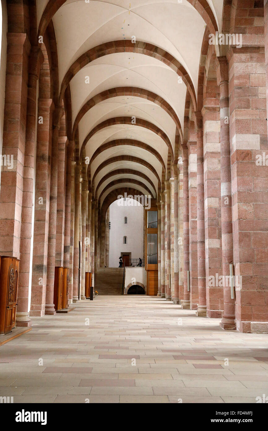 Imperial Cattedrale di Speyer. Foto Stock