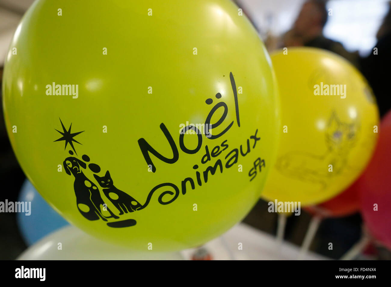Per la protezione degli animali palloncini dell'organizzazione. Foto Stock
