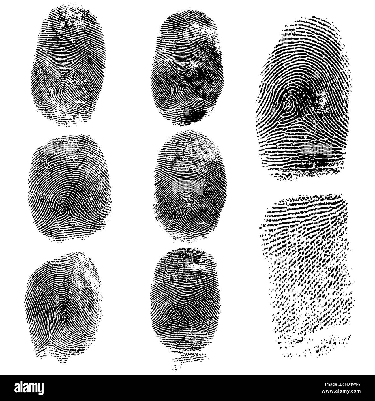 Serie di impronte digitali, illustrazione di vettore isolato su bianco Illustrazione Vettoriale