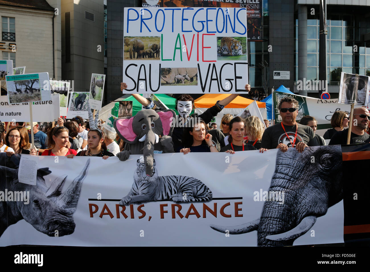 Global March per elefanti e rinoceronti. La Giornata mondiale dell'animale. Foto Stock