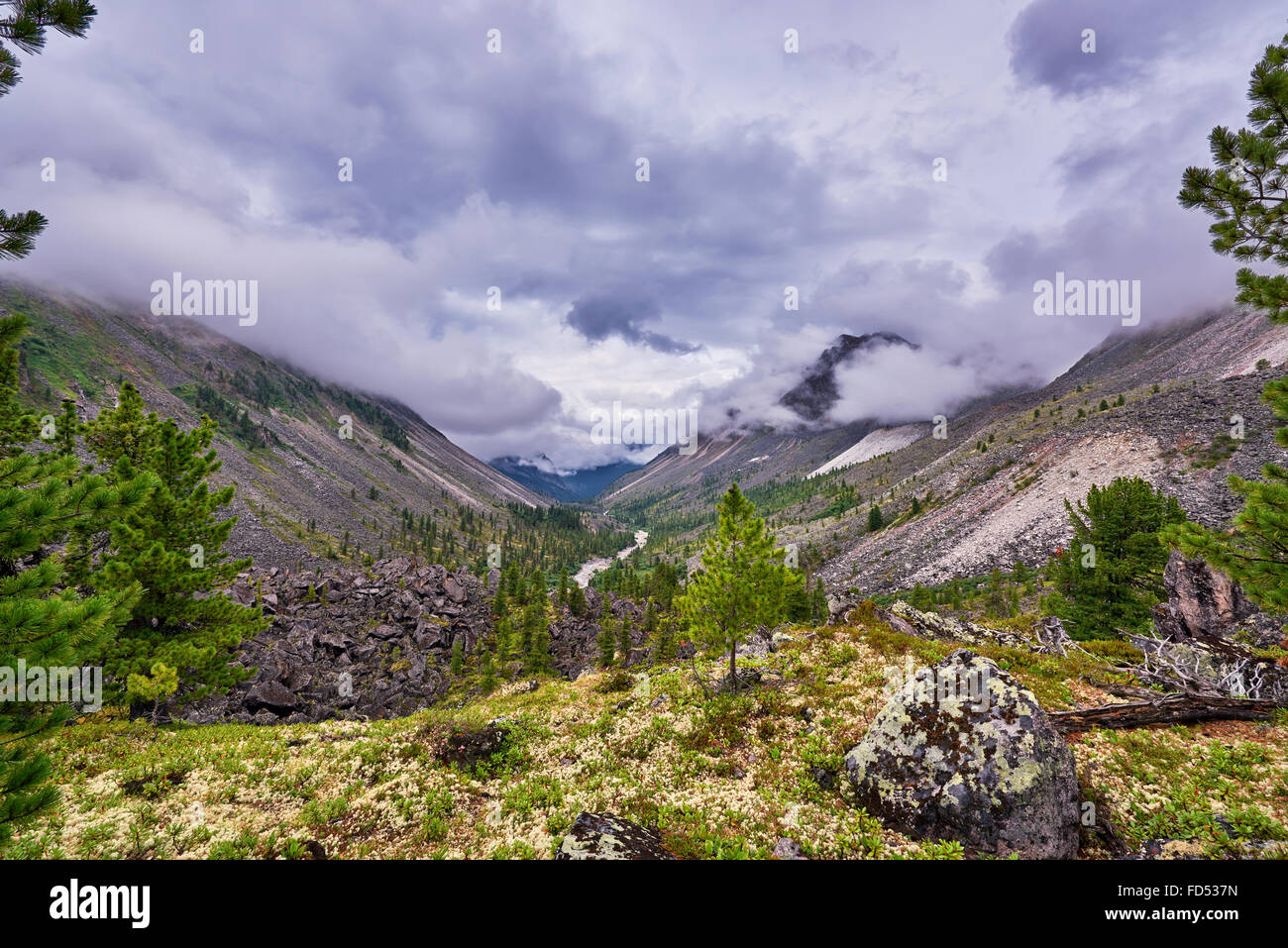 Nuvole basse su una valle di montagna . Siberia orientale. La Russia Foto Stock