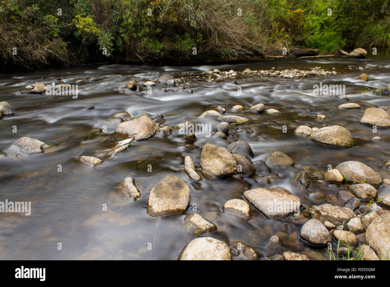 Silky Smooth rapide del fiume che scorre su rocce Foto Stock