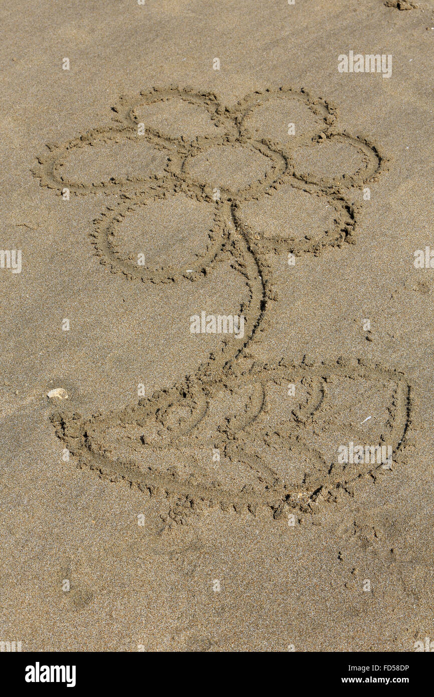 Disegno di un fiore sulla sabbia. Foto Stock