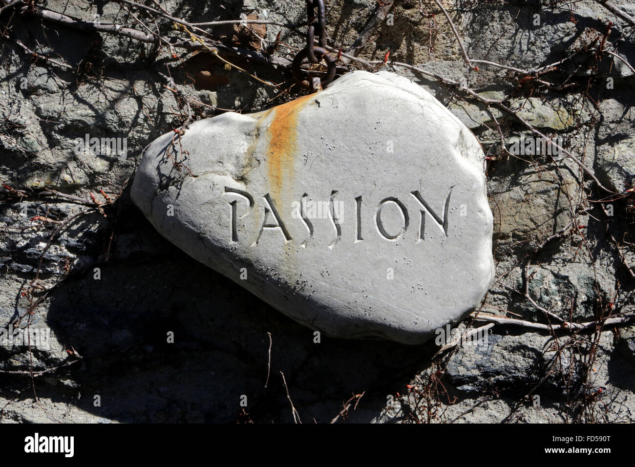 Segno della parola 'passione' su una pietra. Foto Stock