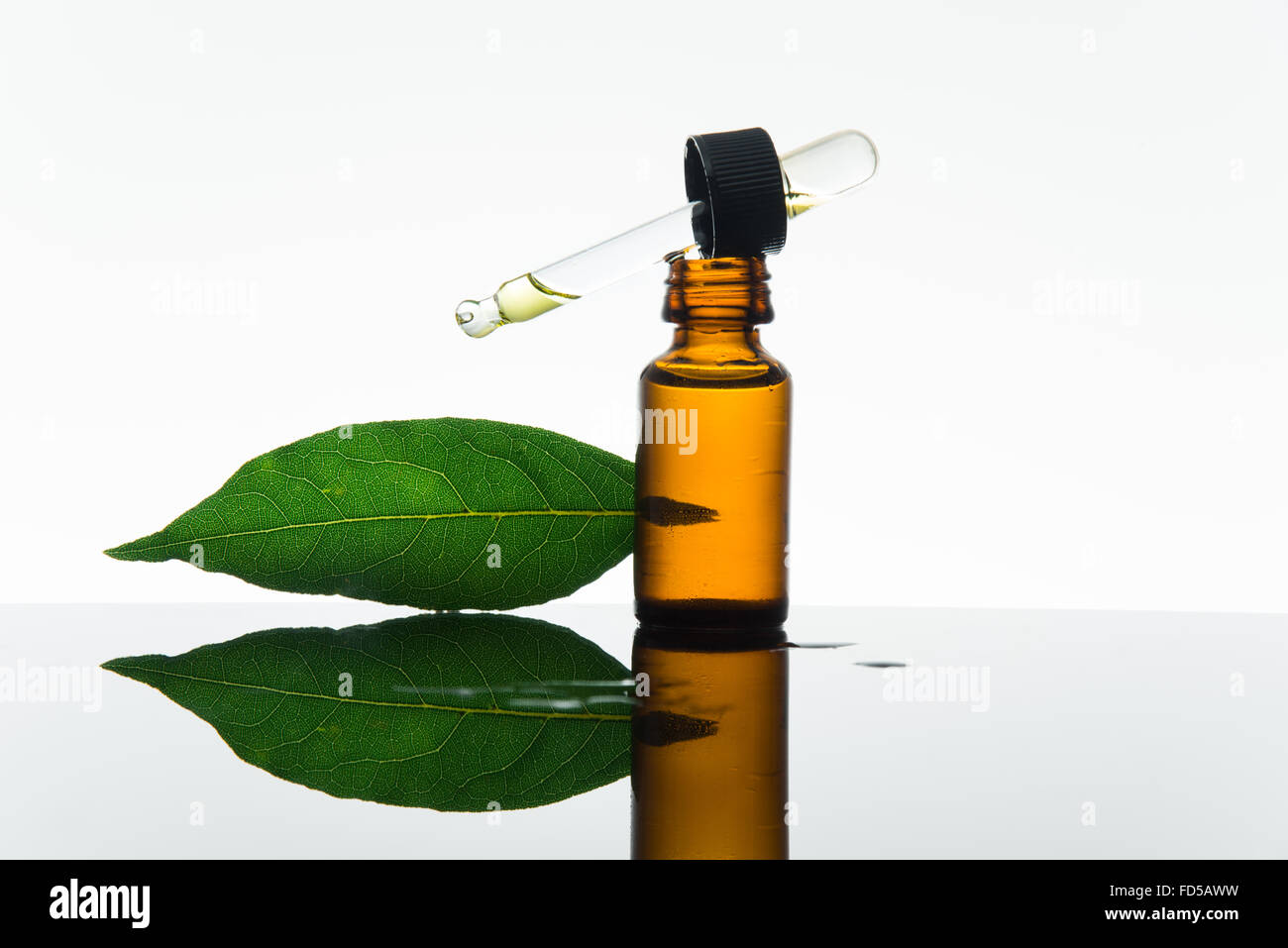 Bay olio essenziale, bay olio, bay essenza, foglie di alloro, il vetro ambra flacone contagocce, Foto Stock