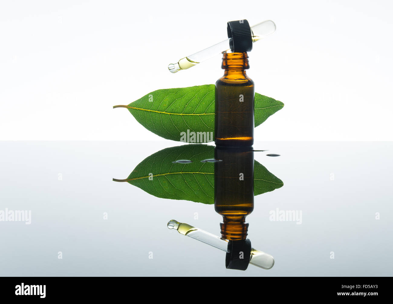 Bay olio essenziale, bay olio, bay essenza, foglie di alloro, il vetro ambra flacone contagocce, Foto Stock